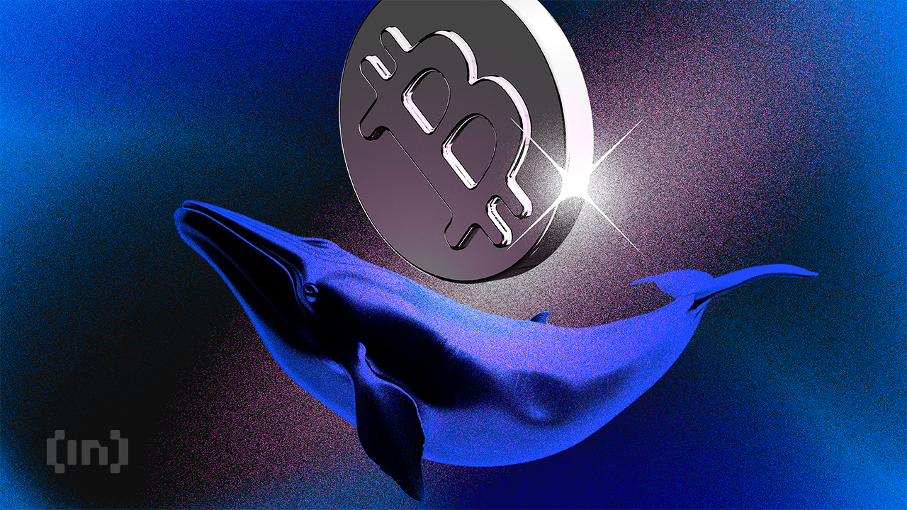 Dormant Bitcoin Whale Wallet From 2016 Moves 3,000 BTC